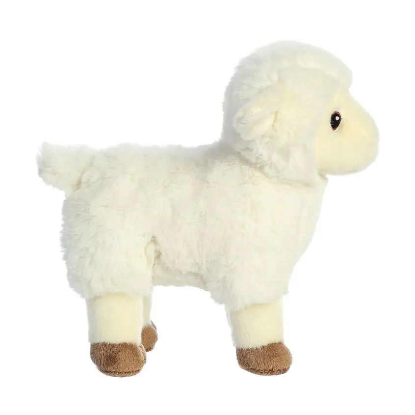 AURORA ECO NATION LAMB