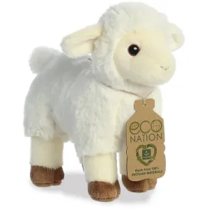 AURORA ECO NATION LAMB