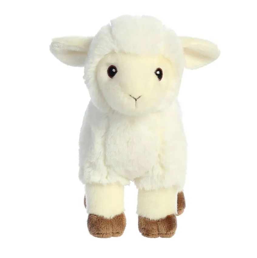 AURORA ECO NATION LAMB