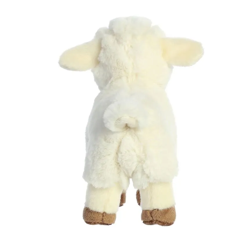 AURORA ECO NATION LAMB