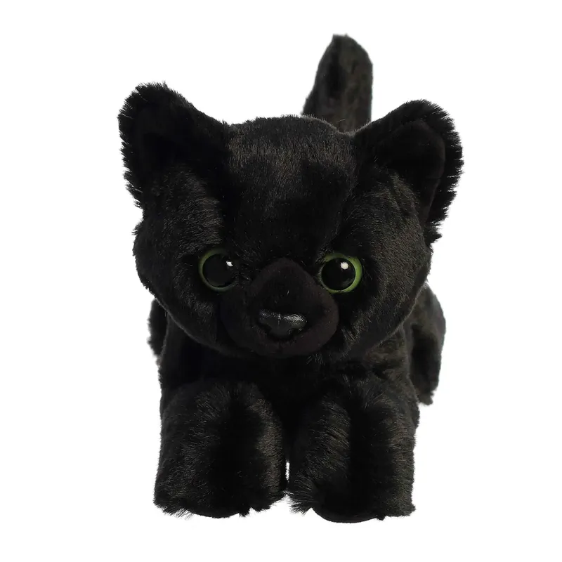 AURORA TWILIGHT CAT
