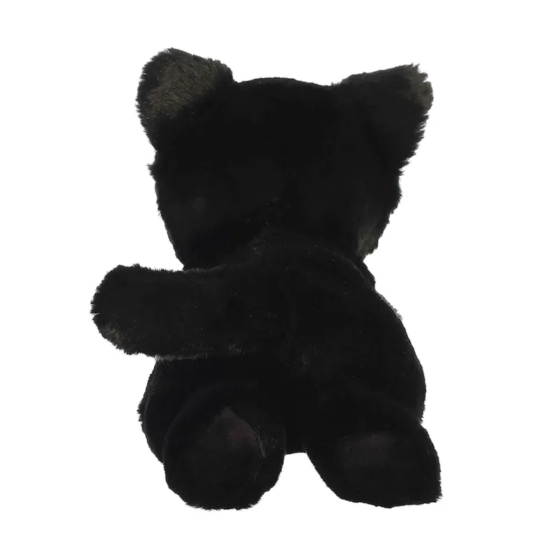 AURORA TWILIGHT CAT