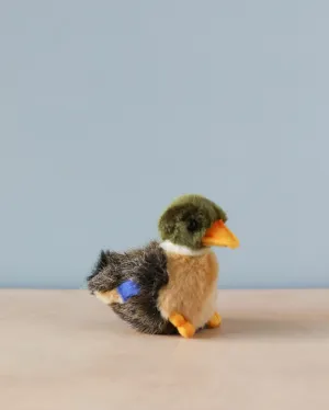 Baby Duck Stuffed Animal Odin Parker