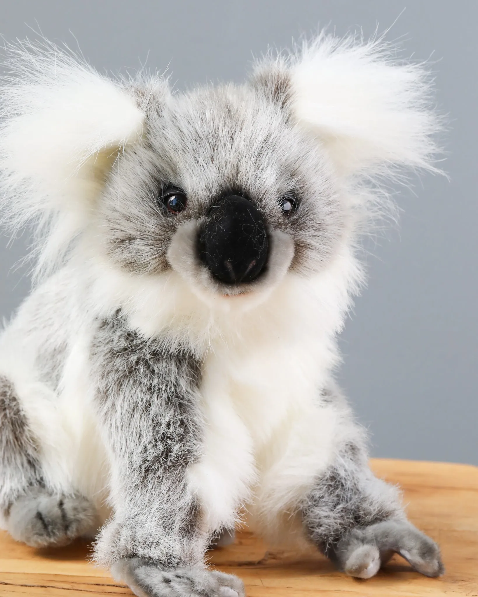 Baby Koala Stuffed Animal Odin Parker