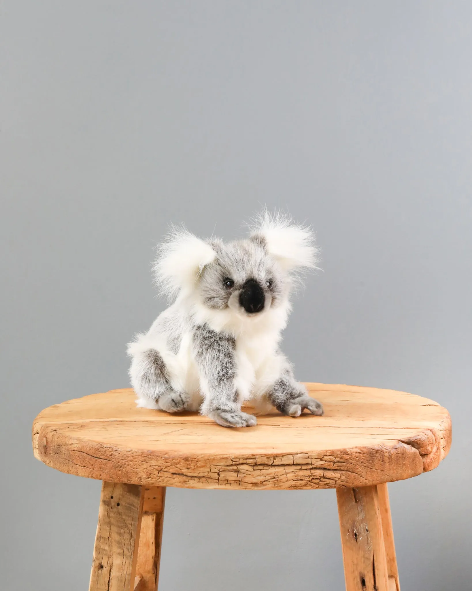 Baby Koala Stuffed Animal Odin Parker