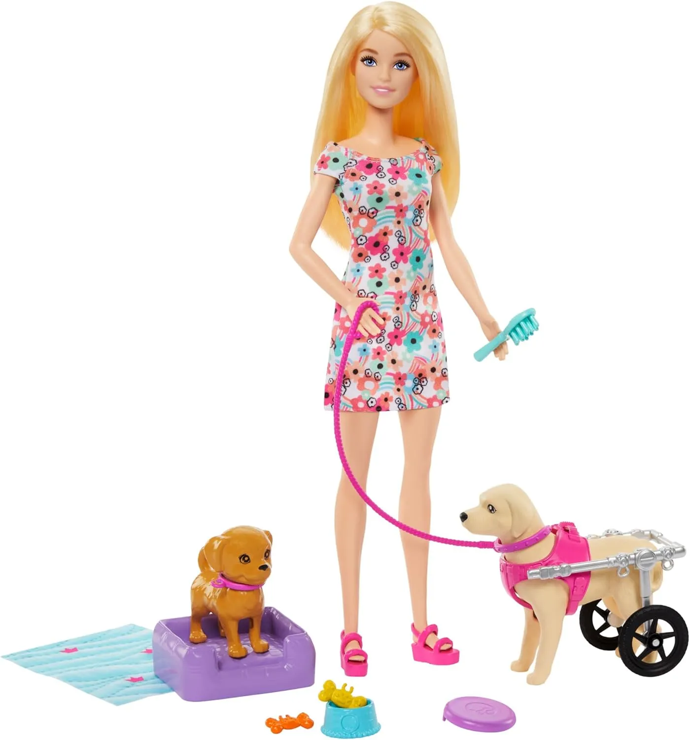 Barbie Doll with 2 Toy Dogs & Pet Accessories - Includes Removable Wheelchair for Ages 3 