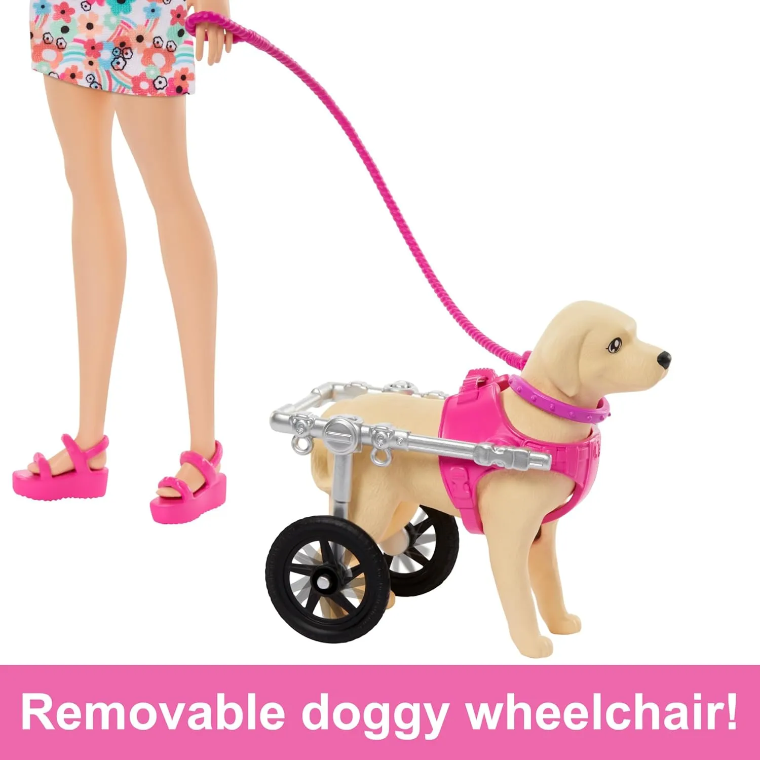 Barbie Doll with 2 Toy Dogs & Pet Accessories - Includes Removable Wheelchair for Ages 3 