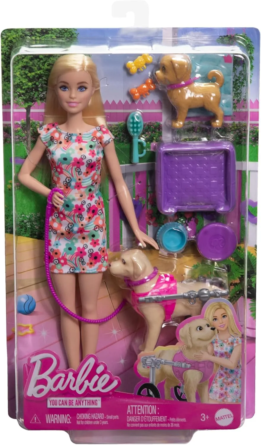 Barbie Doll with 2 Toy Dogs & Pet Accessories - Includes Removable Wheelchair for Ages 3 