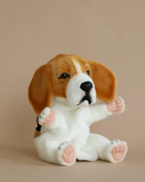 Beagle Puppet Odin Parker