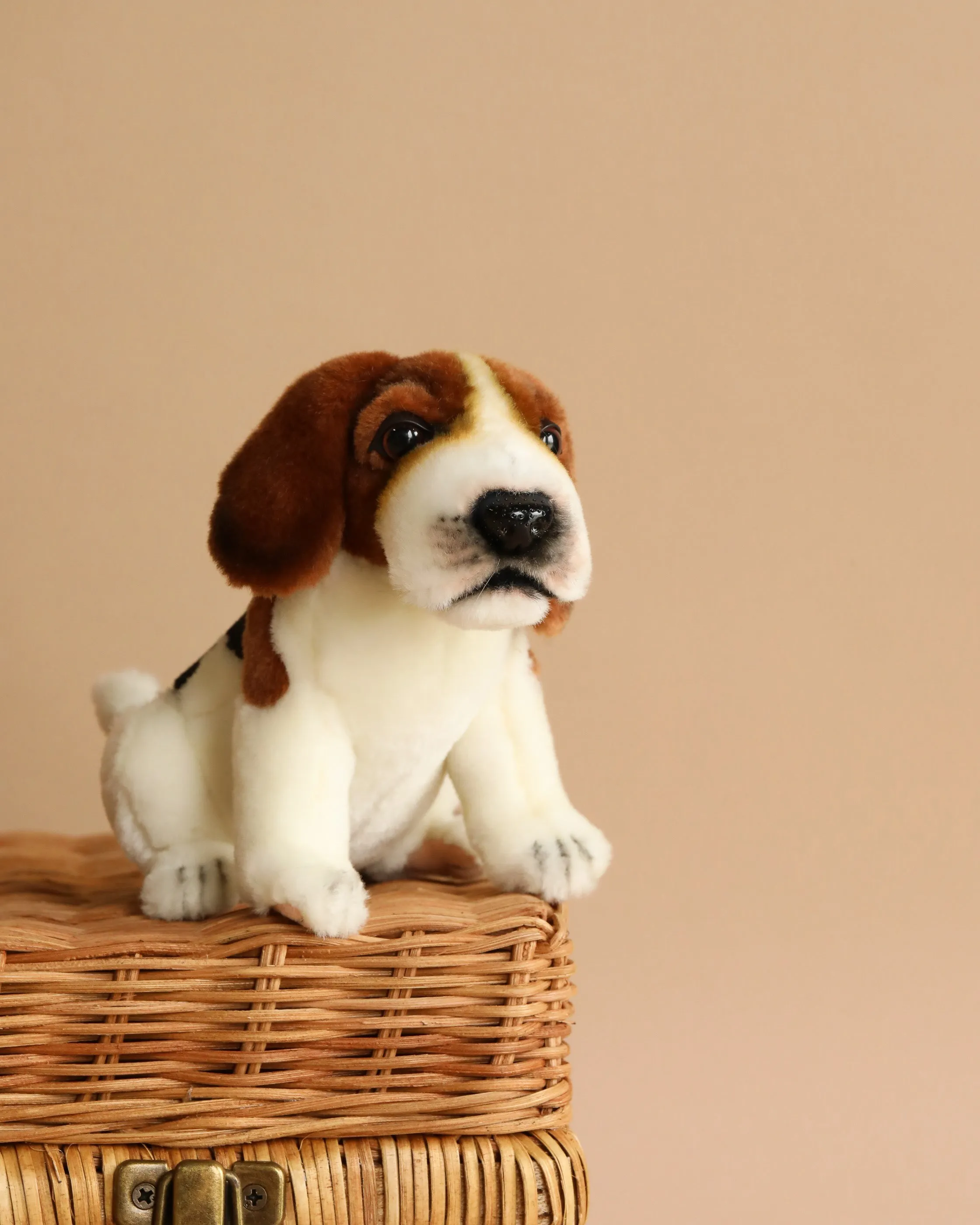 Beagle Tea Cup Stuffed Animal Odin Parker