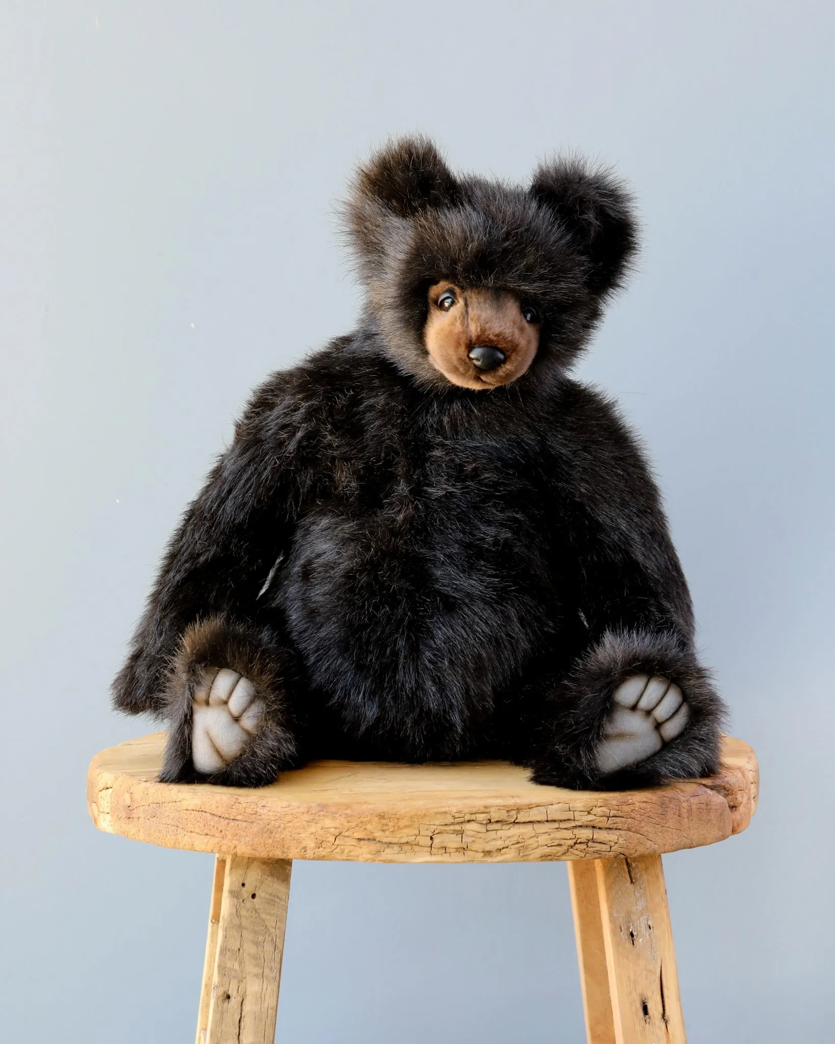 Black Bear Stuffed Animal Odin Parker