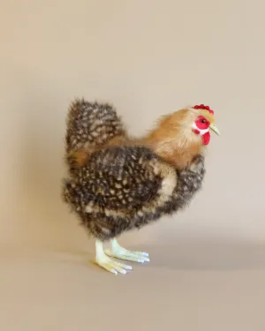 Brown Hen Stuffed Animal Odin Parker