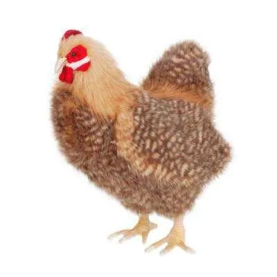 Brown Hen Stuffed Animal Odin Parker