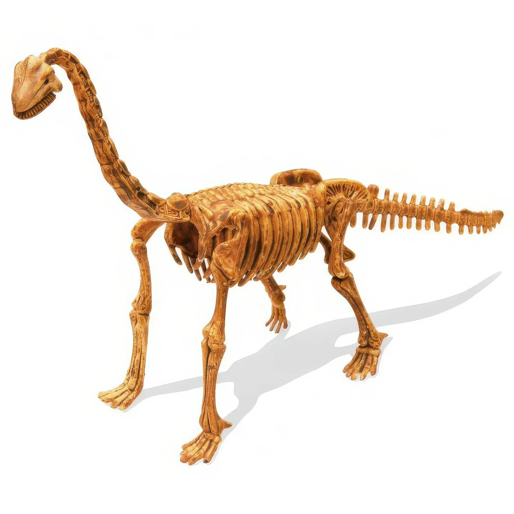BUKI France Dino Kit Brachiosaurus Dinosaur Fossil Digging Set