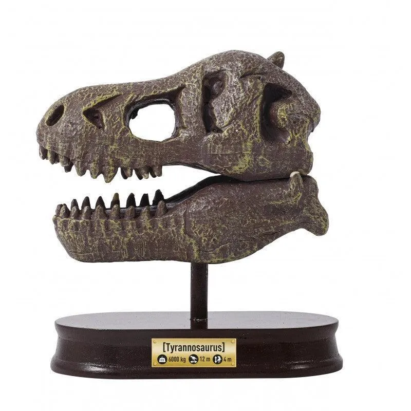BUKI France Dinosaur Skull - Tyrannosaurus Rex