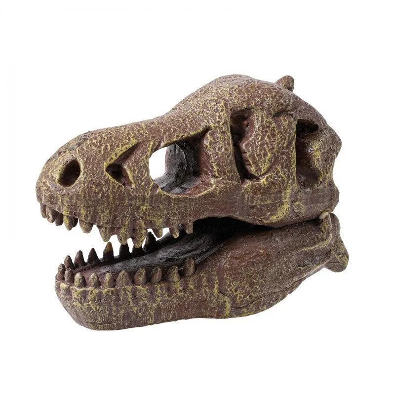 BUKI France Dinosaur Skull - Tyrannosaurus Rex