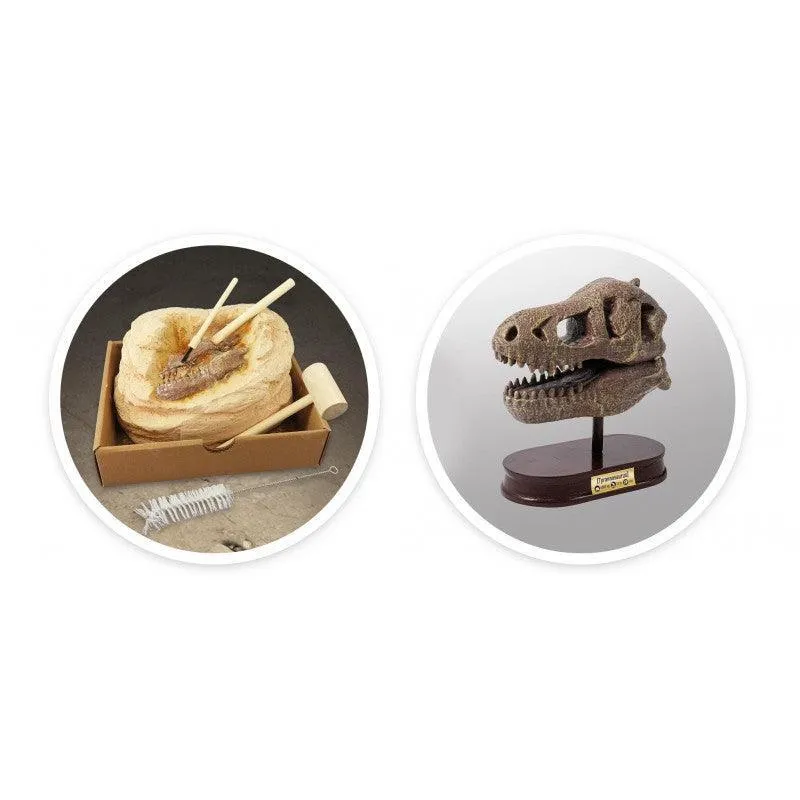 BUKI France Dinosaur Skull - Tyrannosaurus Rex