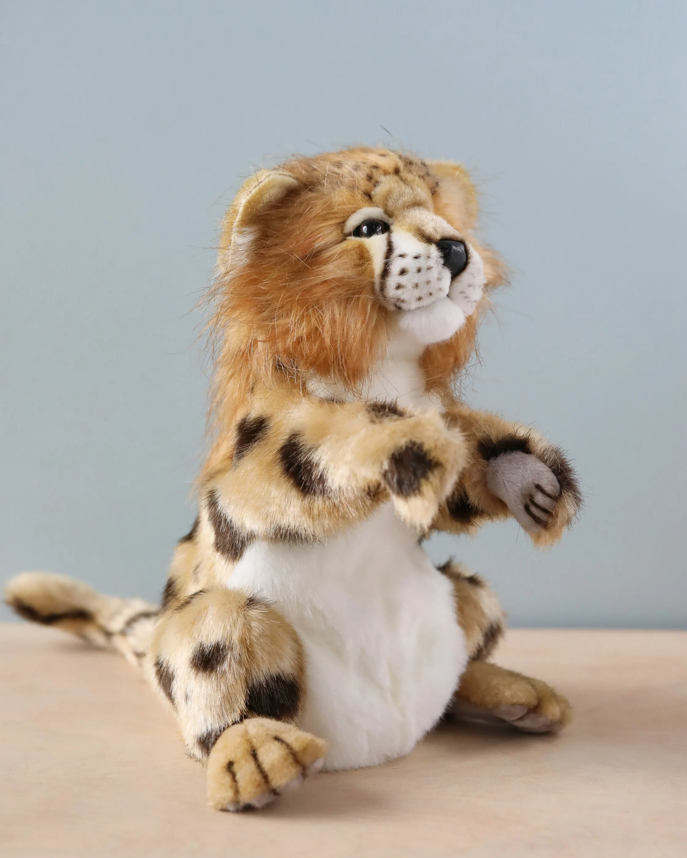 Cheetah Puppet Odin Parker