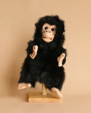 Chimp Puppet Odin Parker
