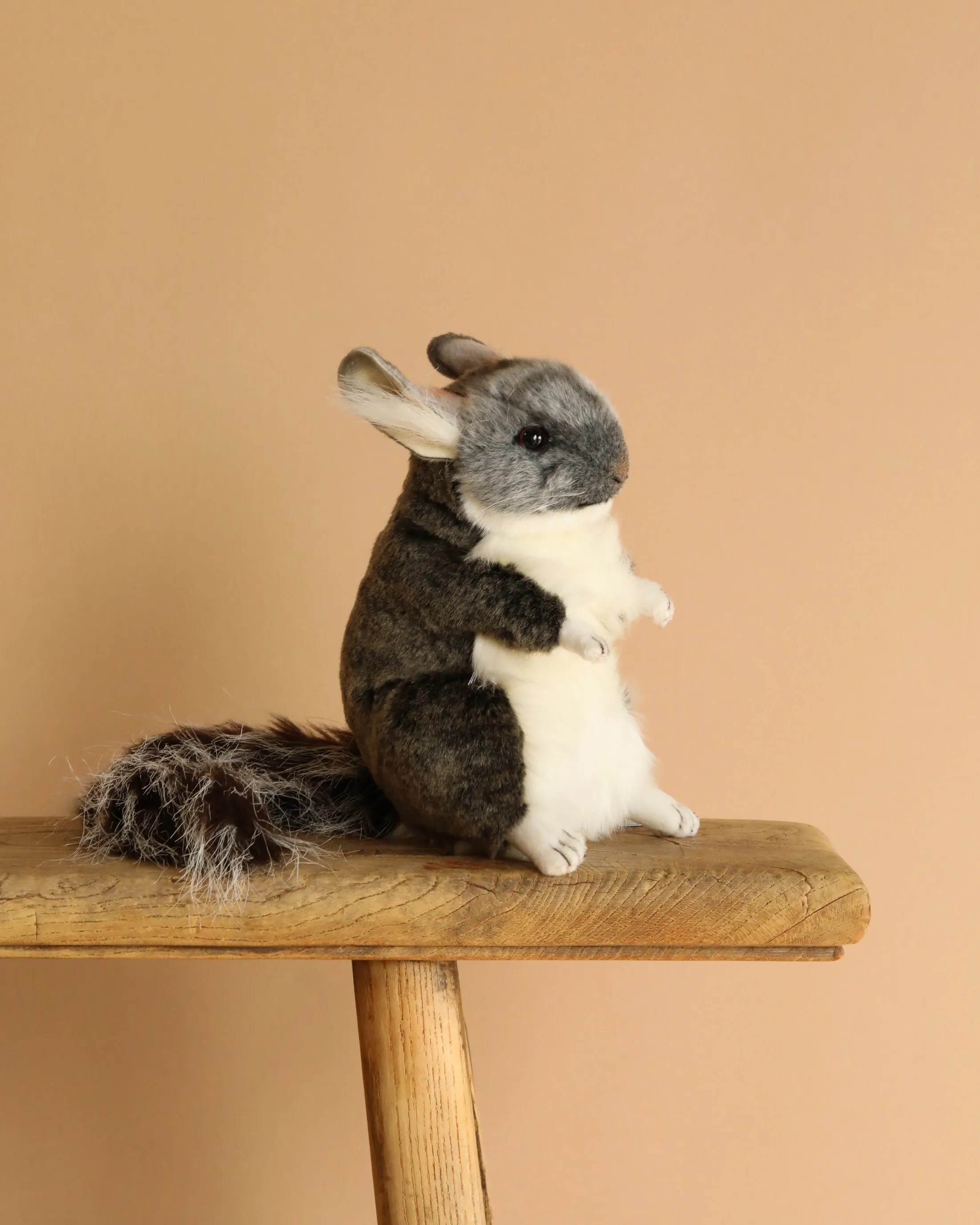 Chinchilla Stuffed Animal Odin Parker