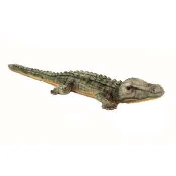 Crocodile Stuffed Animal Odin Parker