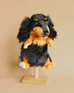 Dachshund Dog Puppet Odin Parker