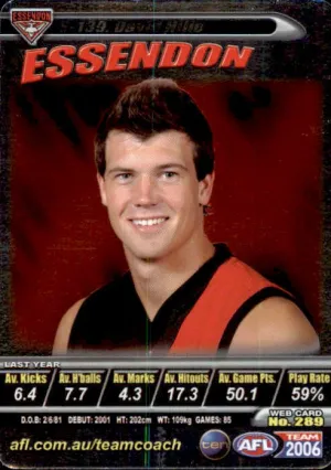 David Hille, Silver, 2006 Teamcoach AFL