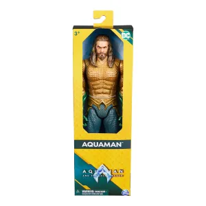DC 30cm Multiverse Figure Aquaman