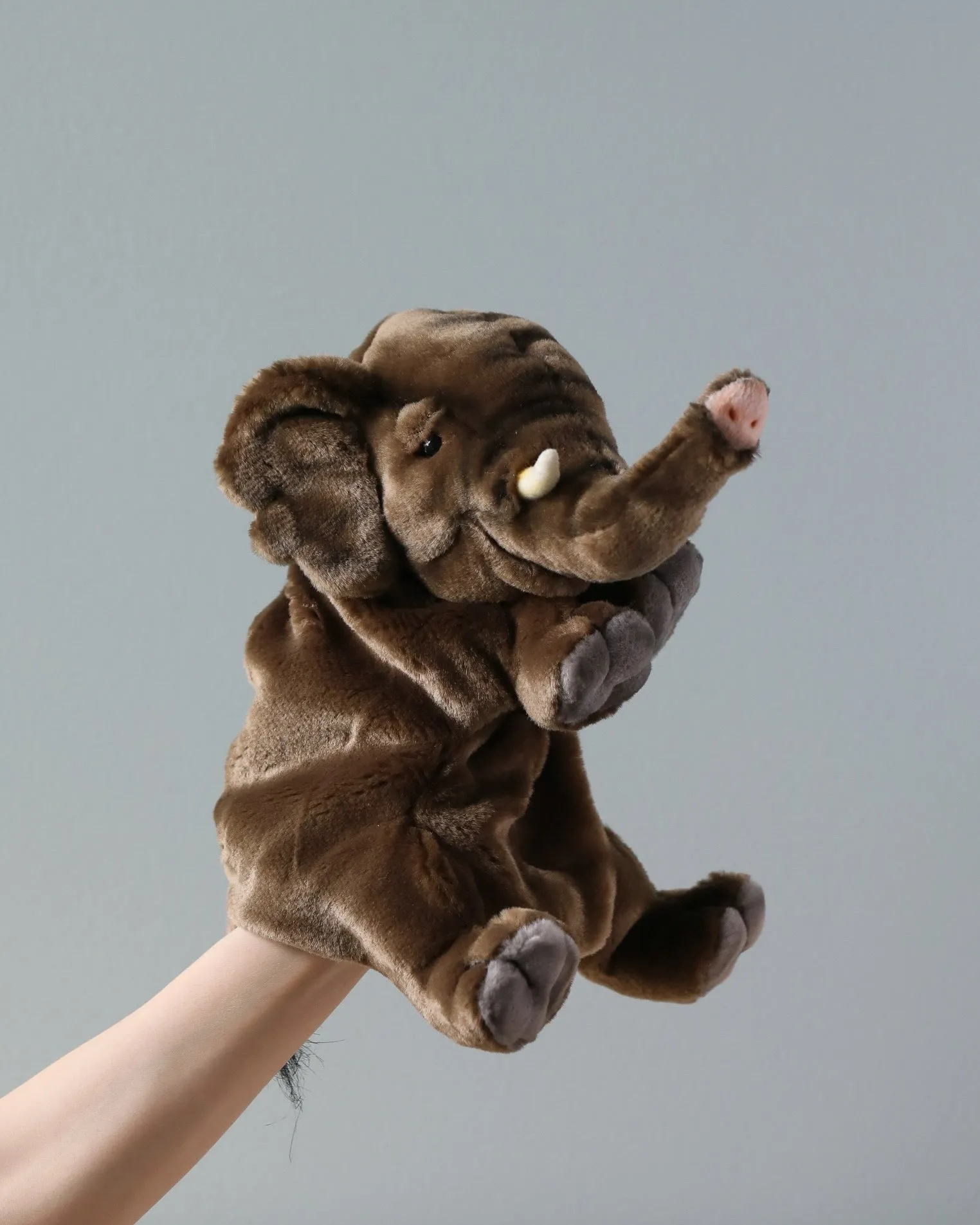 Elephant Puppet Odin Parker