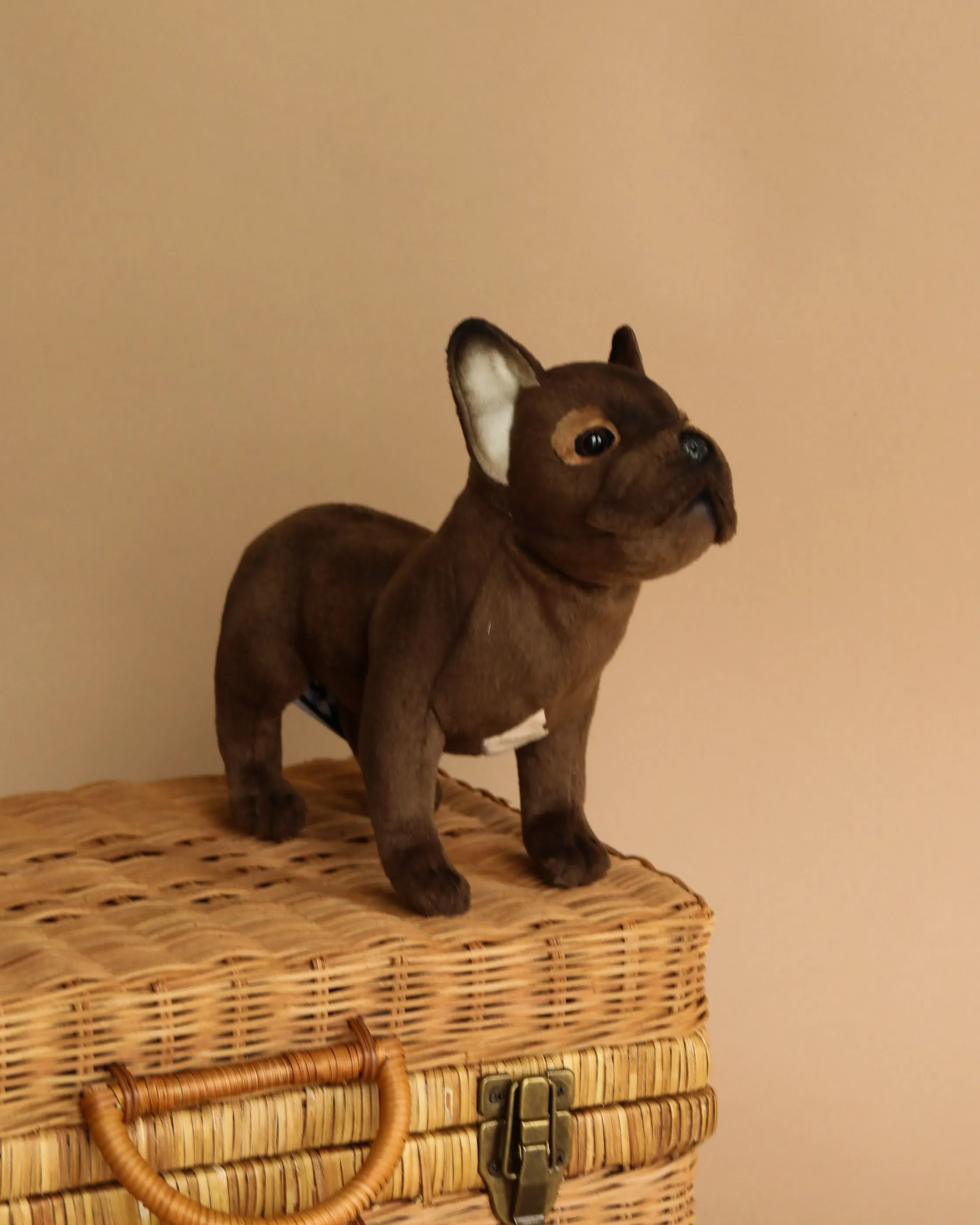 French Bulldog Dog Stuffed Animal Odin Parker