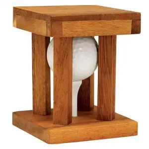 Golf Ball Dilemma Bits and Pieces