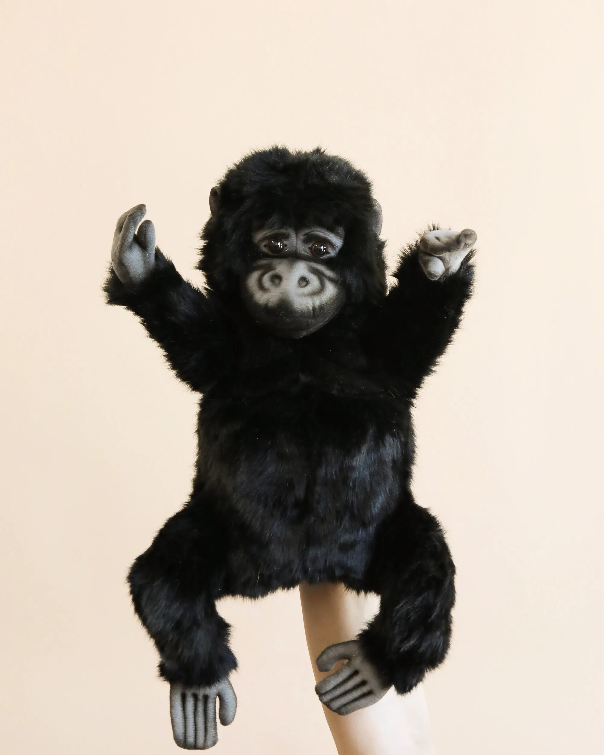 Gorilla Puppet Odin Parker