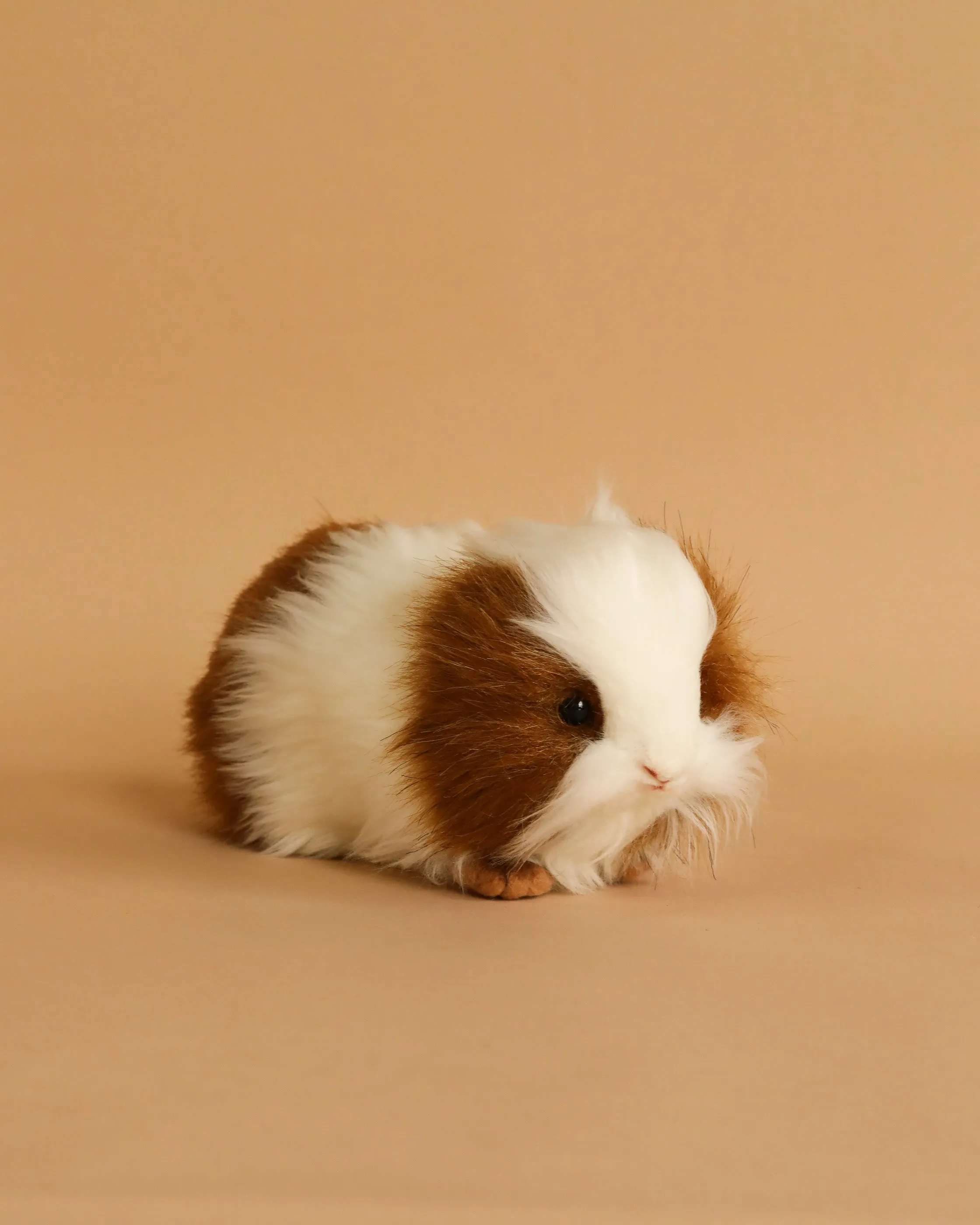 Guinea Pig Stuffed Animal Odin Parker