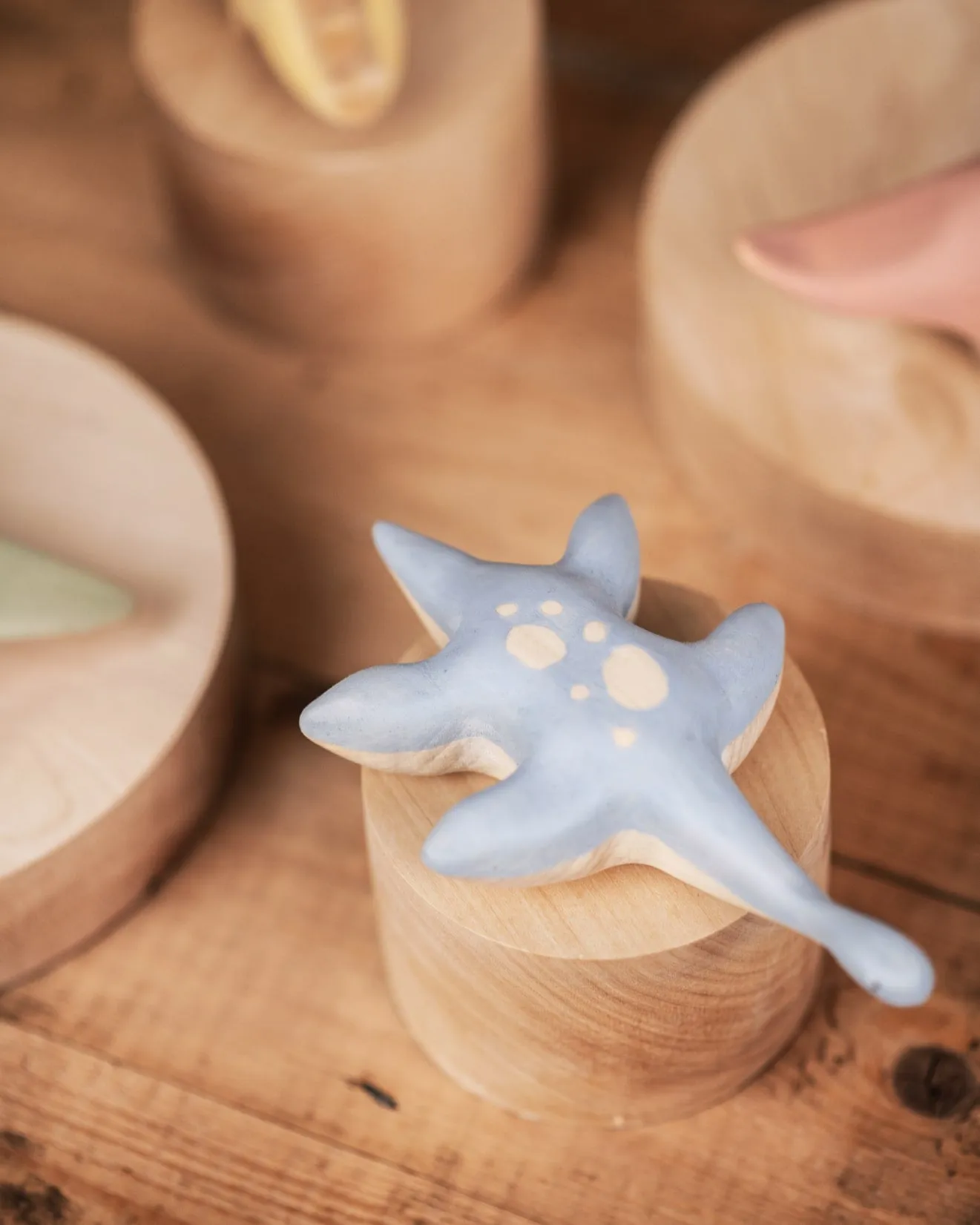 Handmade Wooden Plesiosaurus Dinosaur Odin Parker
