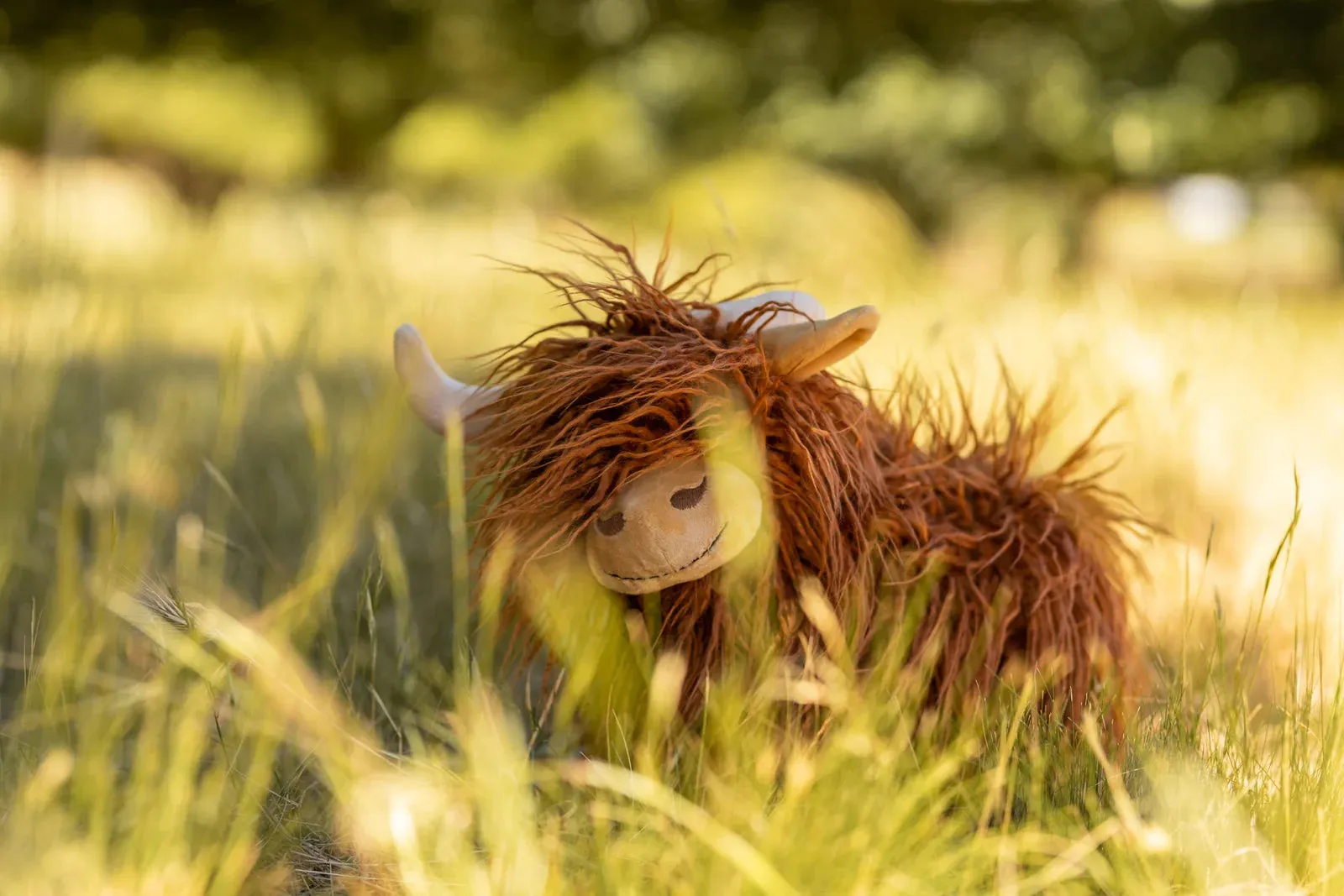 Heidi the Highland Cow Stuffed Animal Odin Parker