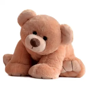 Histoire d'Ours Les Ours Titours Et Bellydou - Honey Gros'ours