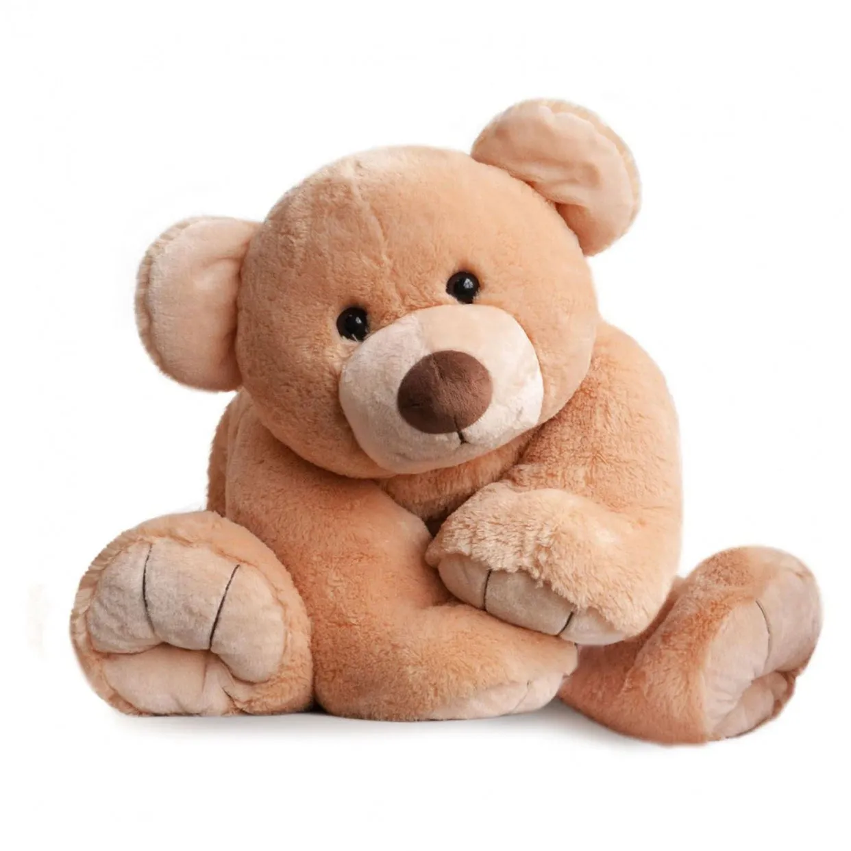 Histoire d'Ours Les Ours Titours Et Bellydou - Honey Gros'ours