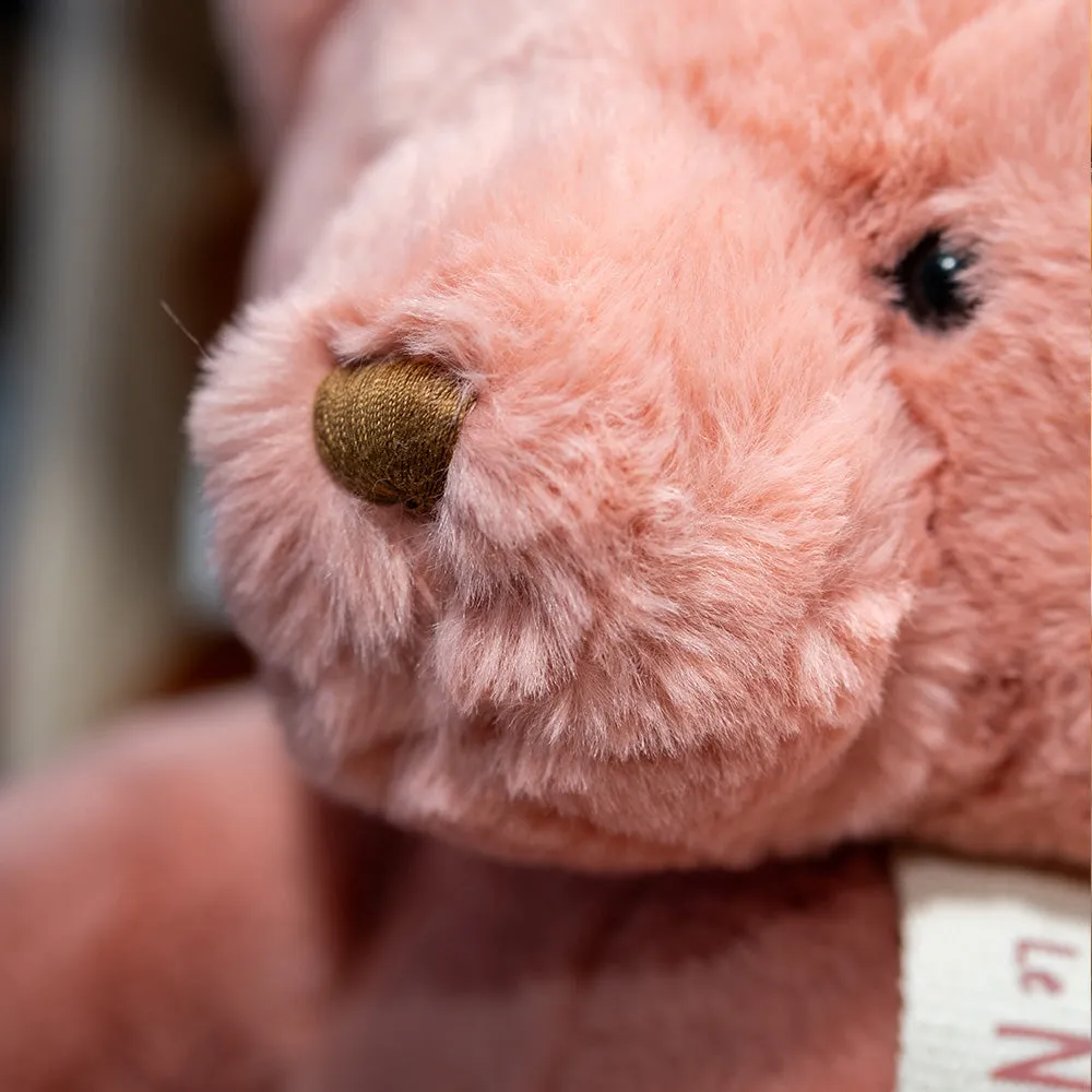 Histoire d'Ours Nounours Bear Rose Praline 40cm