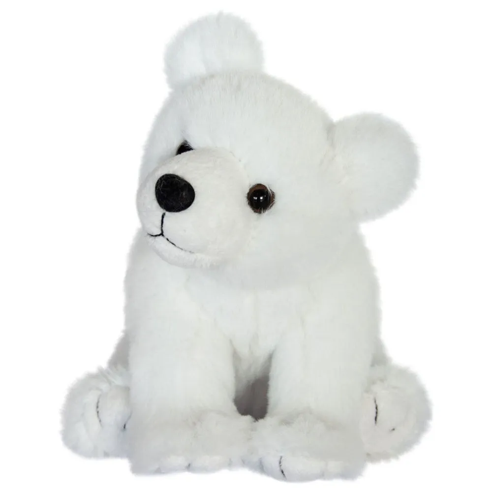 Histoire d'Ours Polar Bear Display