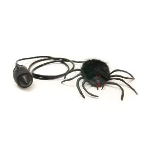 House of Marbles Jumping Spider