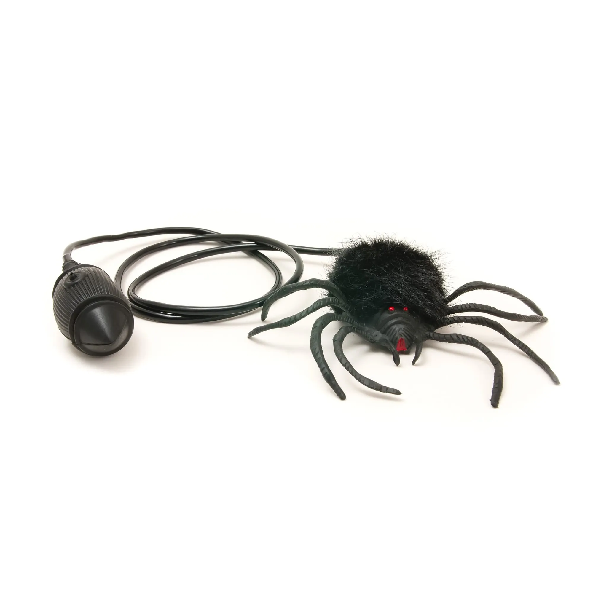 House of Marbles Jumping Spider