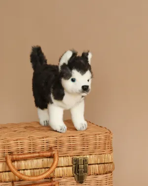 Huskey Puppy Dog Stuffed Animal Odin Parker