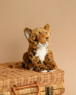 Jaguar Cub Sitting Stuffed Animal Odin Parker
