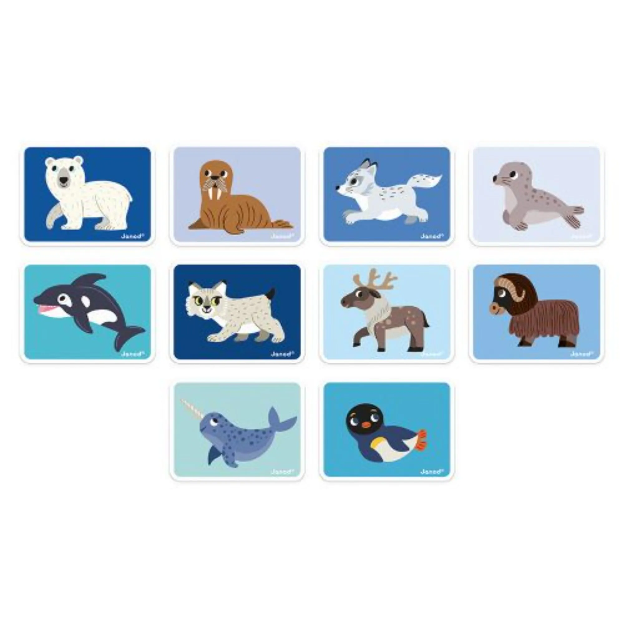 Janod Magnetibook Polar Animals
