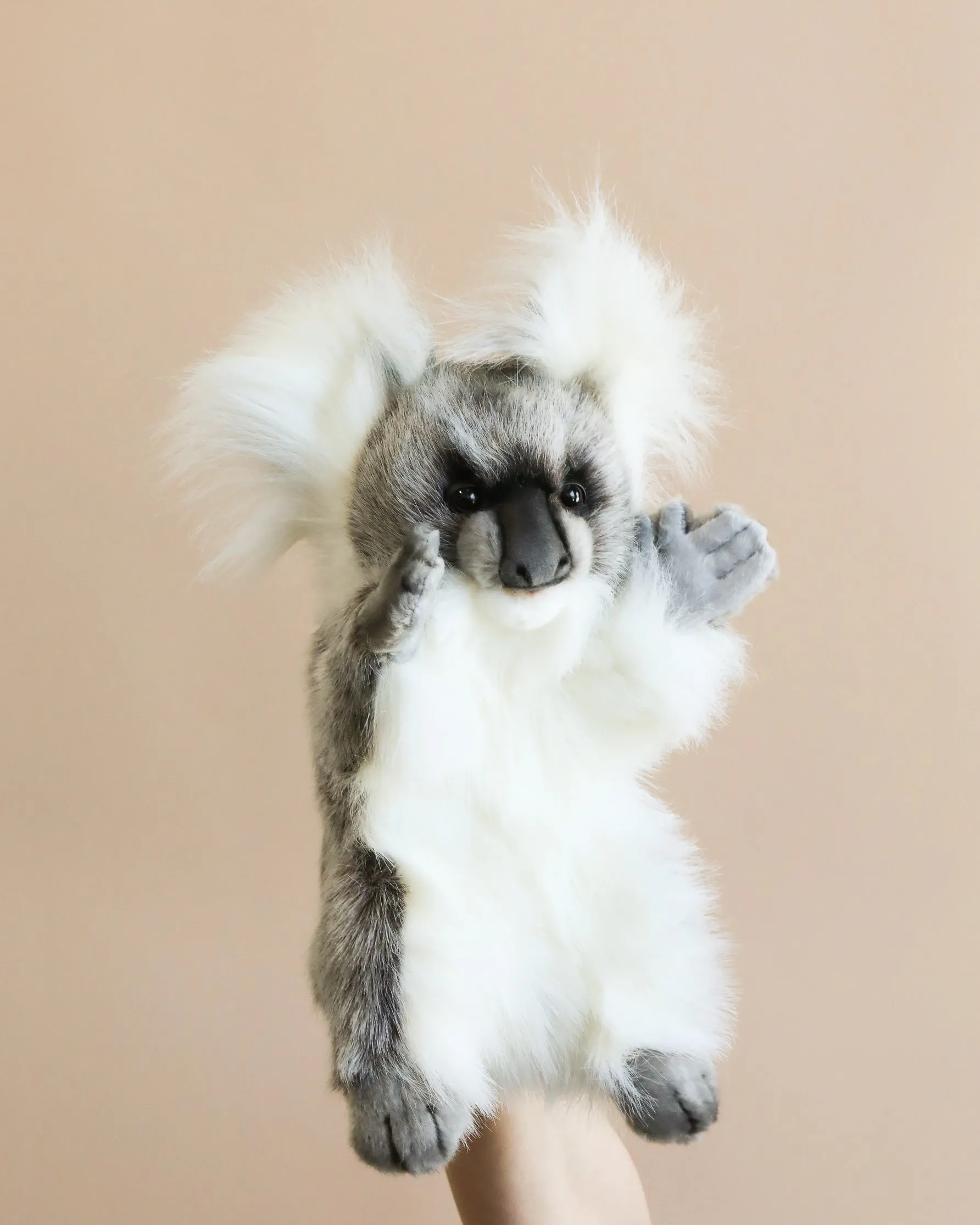 Koala Puppet Odin Parker