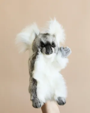 Koala Puppet Odin Parker