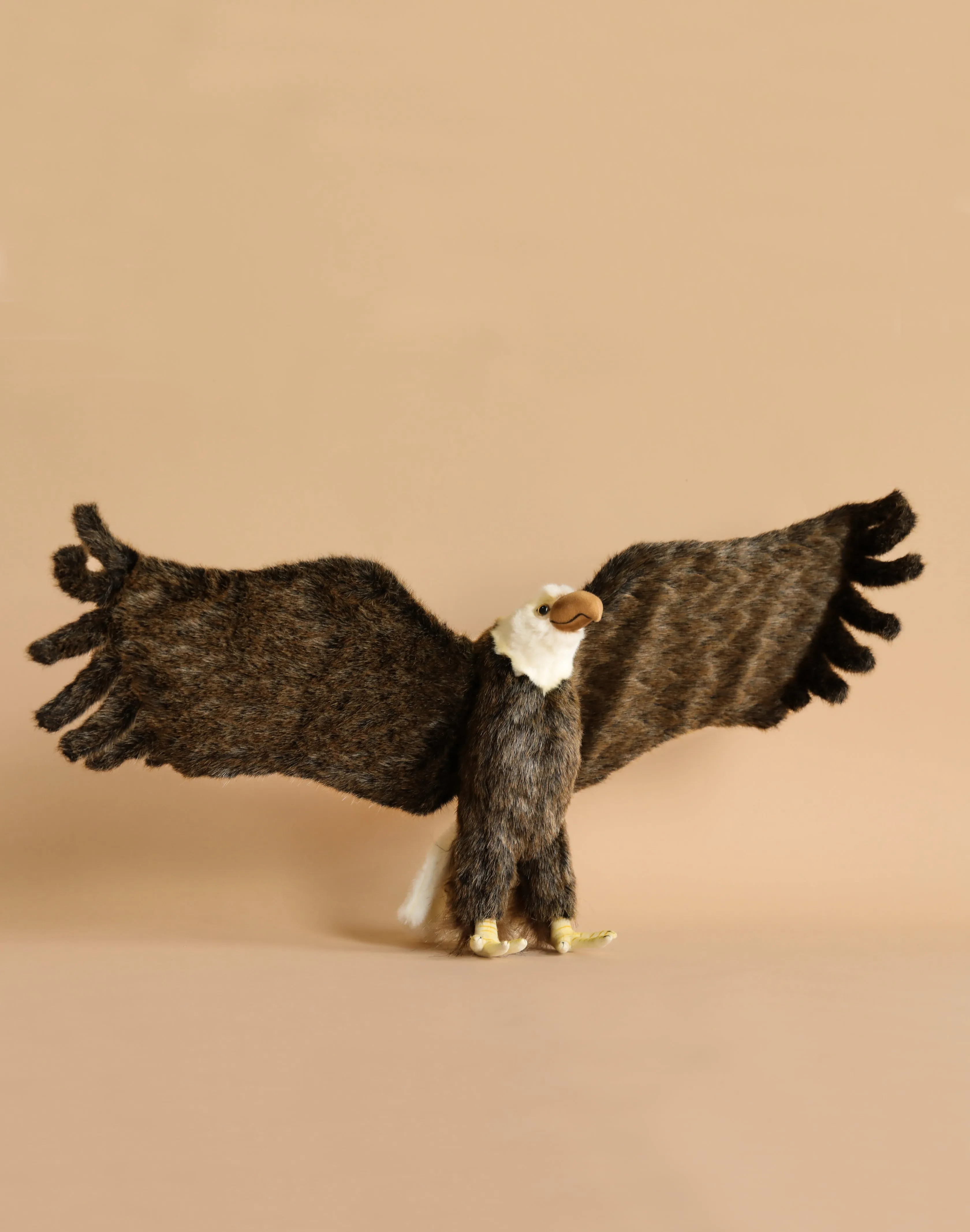 Large Eagle Stuffed Animal Odin Parker