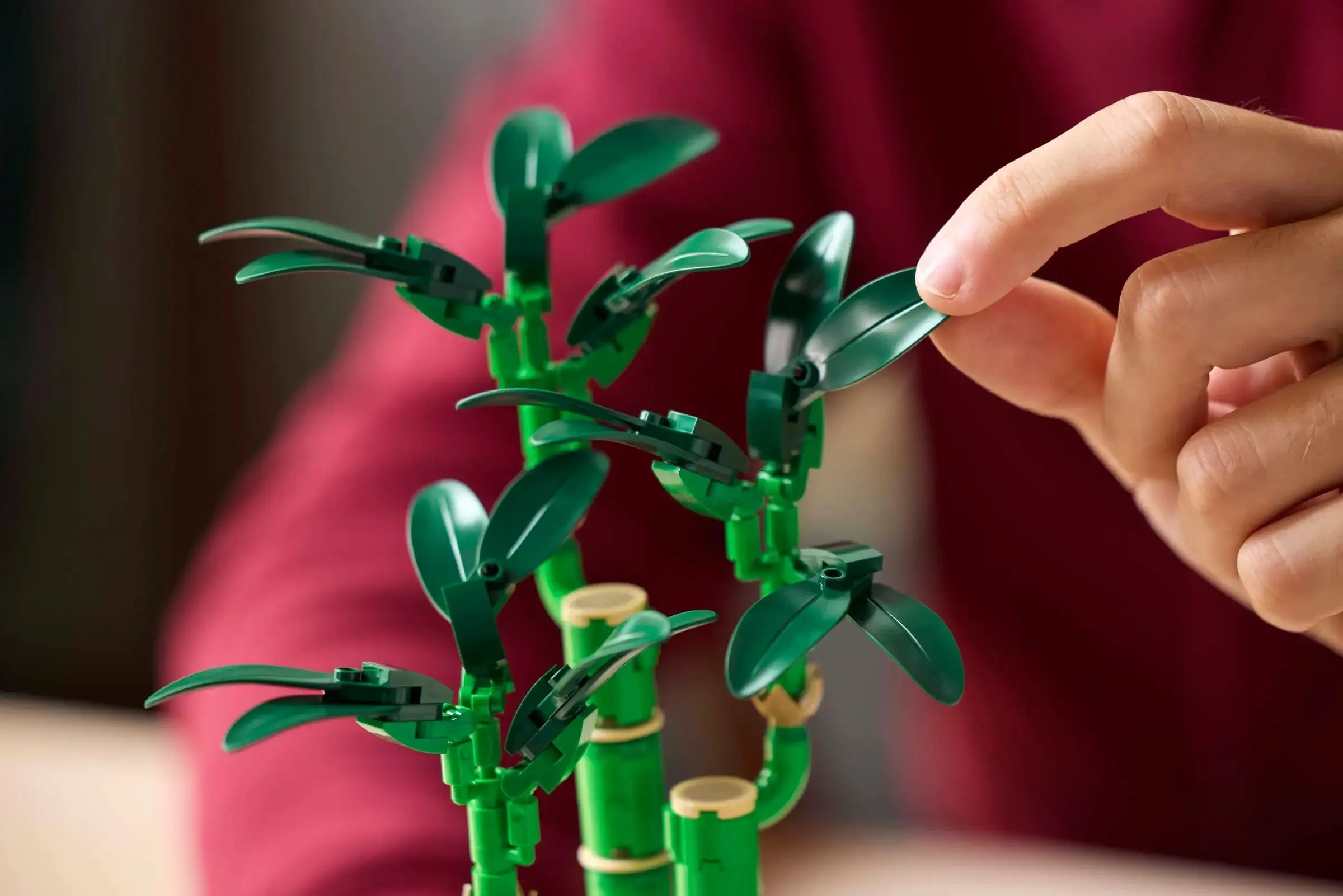 LEGO BOTANICALS 10344 Lucky Bamboo
