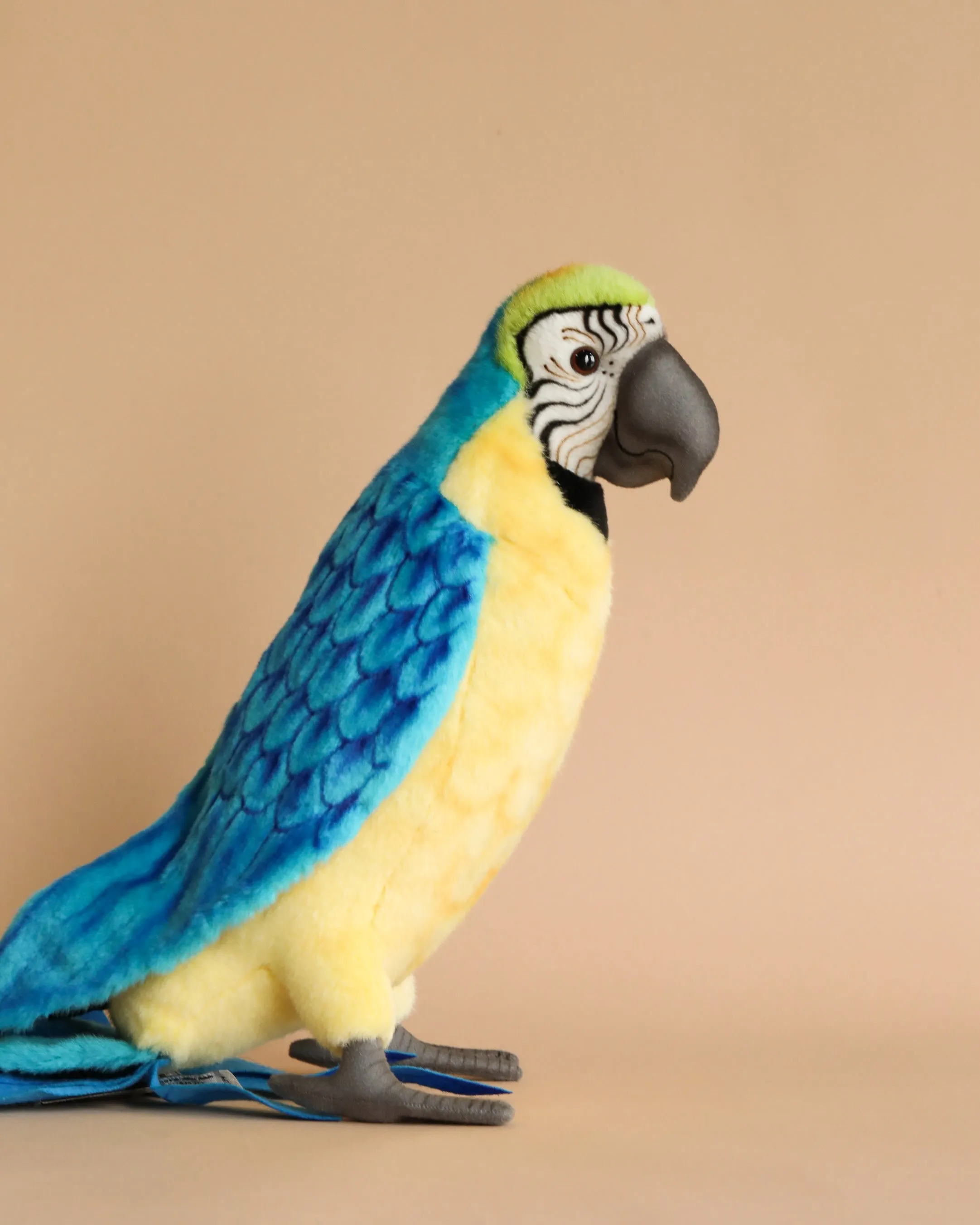 Macaw Bird Stuffed Animal Odin Parker
