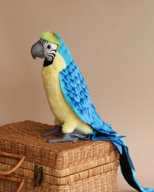 Macaw Bird Stuffed Animal Odin Parker
